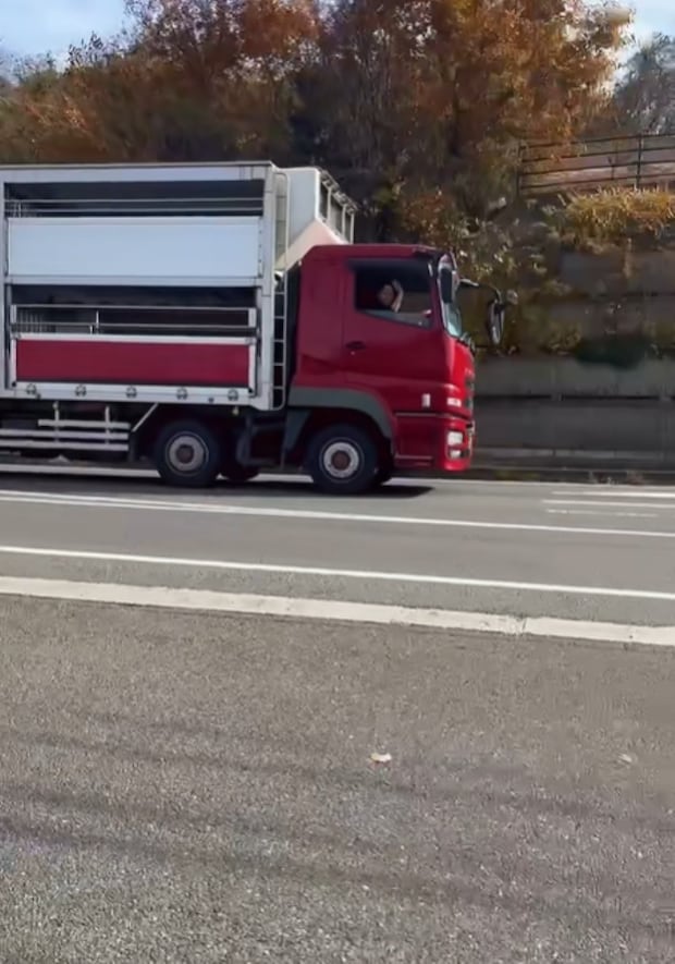 %e3%82%b9%e3%82%af%e3%83%aa%e3%83%bc%e3%83%b3%e3%82%b7%e3%83%a7%e3%83%83%e3%83%88 2025 12 31 132823