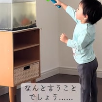 初めて金魚を見た3歳児、興奮してとった【まさかの行動】とは？ 家主も許した「ピュアな犯行」にほっこり