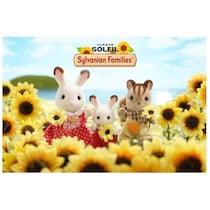 【待望！】三浦半島初！シルバニアファミリーの体験型施設が「ソレイユの丘」に3/6誕生。大人も沼る限定グッズ＆くじが神すぎる！