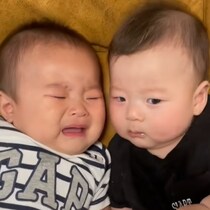 【お宝映像】生後4ヶ月の赤さん、“3ヶ月先輩”のほっぺをおやつと勘違い!?空腹ゆえの「あむあむ」に7ヶ月児の神対応が尊すぎる