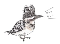 初めてのバードウォッチング！ キャンプ場でよく見かける鳥の種類＆鳥とおしゃべりする方法『キャンプでしたい100のこと』vol.5