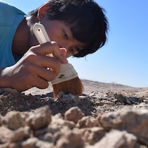 【横浜・無料】ココリコ田中さんも登場！ナショジオの大迫力イベントで「地球の素顔に触れる」体験を…