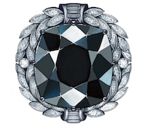 【不幸を呼ぶダイヤ】謎の宝石、ブラック・オルロフの伝説。所有者が次々に不幸に見舞われたダイヤモンドは今