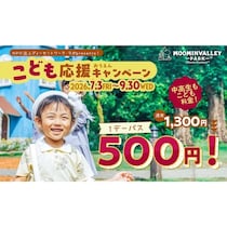 通常1,300円→500円！ムーミンバレーパークの夏キャンペーンがお得すぎる。川崎市民割引も