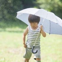 傘を開いたら傘骨の先が目に直撃。子どものその傘、本当に安全？事故から学ぶ安全な傘の選び方と使い方