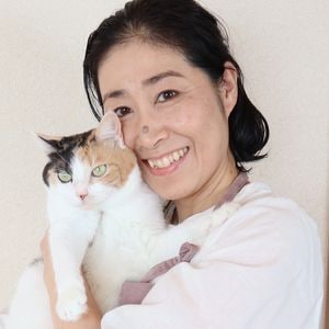 よんぴよまま