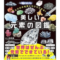 難しく覚えるのではなく、まず「おもしろい！」から入れる！好奇心に火がつく「美しい元素の図鑑」