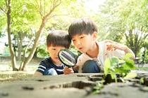夏休みは「机に向かう“以外”の学び」の大チャンス！すぐにできる、学びのタネの見つけ方・育て方