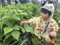 「変化したのは親の方かも」虫を追う5歳と過ごした自然体験1DAYスタディツアー
