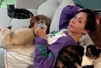 土屋アンナさん「猫6匹・保護犬3匹・子ども4人」の大家族暮らしを語る。瀕死の保護犬にどれだけ噛まれても「私はあなたを傷つけない」