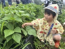正解を急がない1日が、こんなに子どもを輝かせるなんて。5歳息子の好奇心が爆発した特別な日帰り自然体験スタディツアー