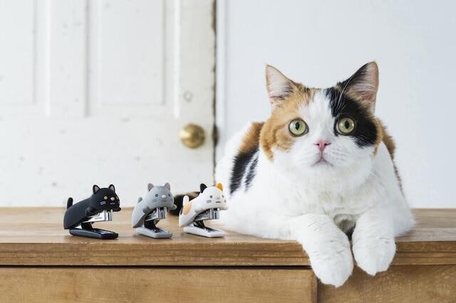 【新製品】やさしい触り心地のシリコンカバーホッチキスに“ねこ”が登場