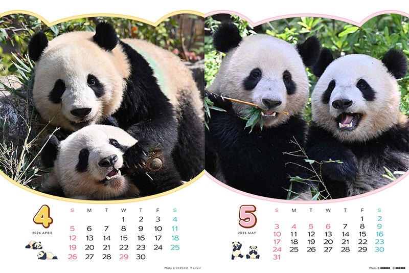 sub1 のコピー.jpg