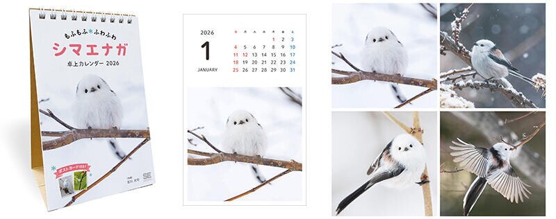 sub6 のコピー.jpg