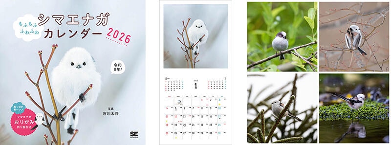 sub1 のコピー.jpg