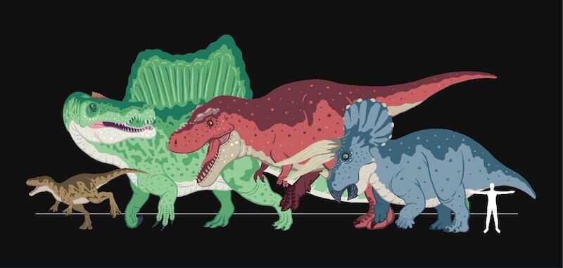 恐竜イラスト_01.jpg