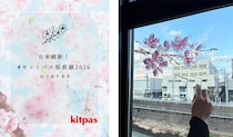 【ニュース】窓に描く参加型アート企画「#キットパス桜前線2026」始動