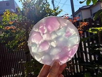 【コレ注目！】チーズの丸い容器が"手のひらの海"に！光にかざして楽しむ夏の工作