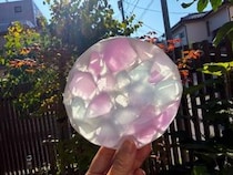 【コレ注目！】チーズの丸い容器が"手のひらの海"に！光にかざして楽しむ夏の工作