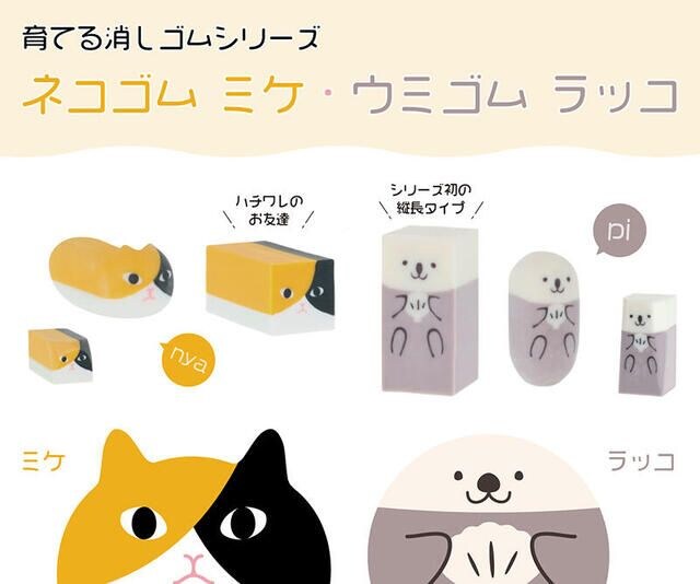 【新製品】「育てる消しゴム」シリーズに「ネコゴム ミケ」「ウミゴム ラッコ」が仲間入り