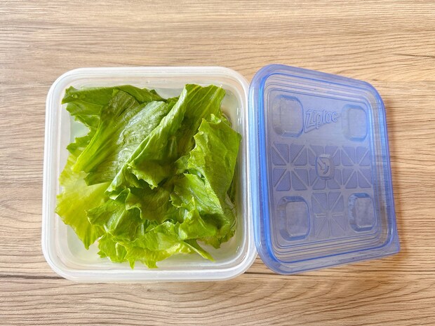 ちぎったレタスをシャキッと長持ち！失敗しない保存方法まとめ