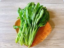 葉物野菜の正しい保存方法。野菜別長持ちのコツやしなびた葉の復活法