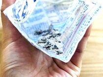 袋の底に溜まった塩こんぶの塩を回収。活用したら「万能調味料すぎました」