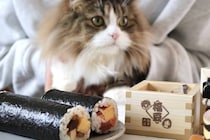 鬼は外、猫は内。節分にいちばん福を呼ぶのは、ねこ？【ネコラム】