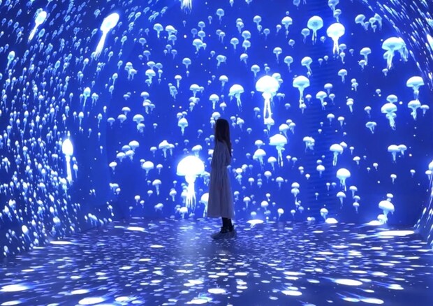 最新スポット「ワンダリア横浜」を一部先行レポ！日本最大級のLEDイマーシブトンネルと限定フードを体験