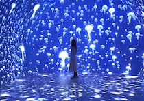 最新スポット「ワンダリア横浜」を一部先行レポ！日本最大級のLEDイマーシブトンネルと限定フードを体験