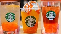 スタバ新作「オレンジ×マンゴー」3種を飲み比べ！真夏にぴったりなフレッシュさ