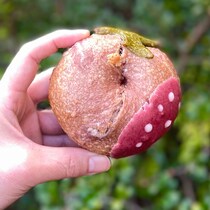 期間限定"いちごミルク”を入手せよ！【Oven Bagle オーブンベーグル馬車道店】（神奈川県・横浜市）