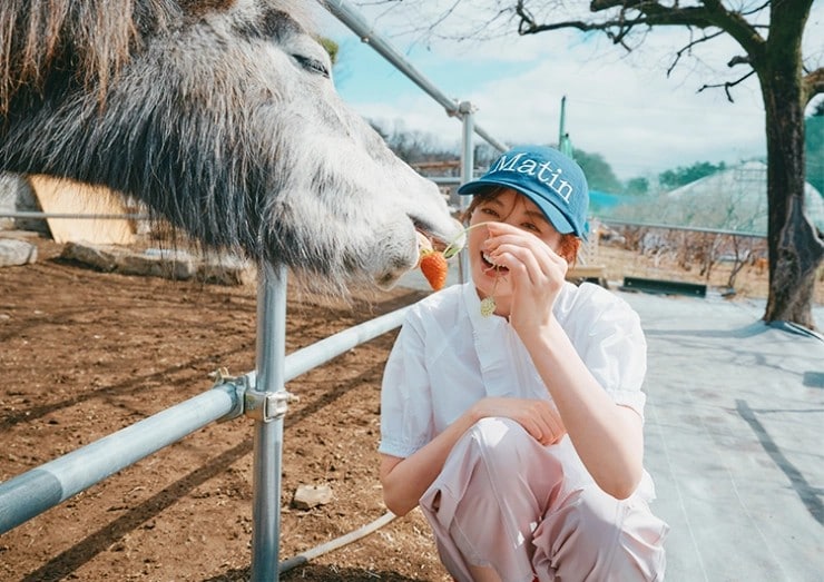 岸井農園 ミニホース 宮田聡子