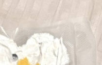 ネットで買った“赤ちゃん用おもちゃ”→送料を安くしたら……　まさかの姿が102万表示「笑ったww」「ひどいことしやがる！」