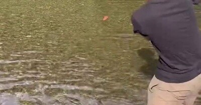 山で育った男性、川遊びで本気を出すと……　「これは誰も勝てない」　まさかの光景に「思っていた3倍すごい」「自然に愛されてる」