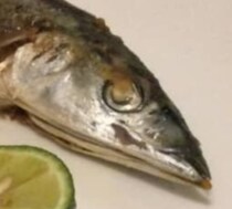 【画像】まさかの姿（全体を見る）