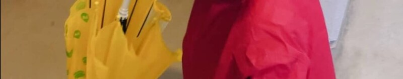 万博へ行く3歳息子にレインコートを着せたママ「改造したので」→まさかの姿に「こ、こ、これは！」「このコンボは反則級」