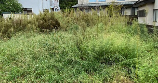 雑草ボーボーの空き地→「1万円」で草刈りしたら……「3万円は取れそう」　“衝撃のビフォーアフター”が900万表示
