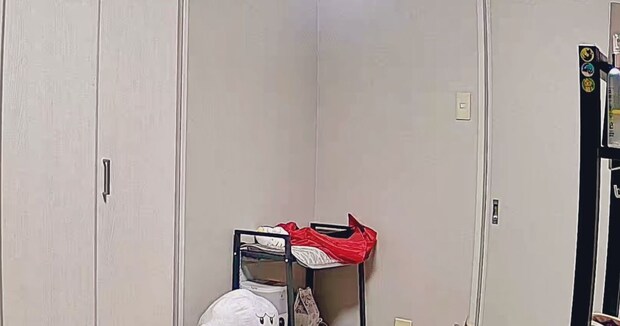 ペットカメラが届いたので愛猫のために設置→ふと見ると……　思わぬ光景が146万表示「ツラ」「体調不良になって会社を欠勤するレベル」