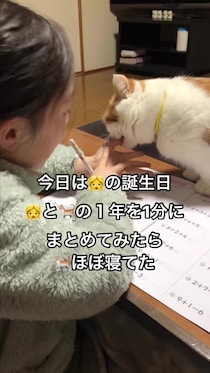 宿題する8歳娘と、邪魔しつづける猫を1年記録したら……　490万再生の愛がつまったやりとりに「最強の名コンビ」