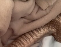 パンの匂いで目覚めると、腕枕していたのはまさかの……　信じられないオオトカゲの姿に驚き「爬虫類という皮を被った赤ちゃん」「こんなに懐いてくれるんですか！」
