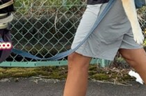 パパが20キロ柴犬＆30キロハスキーと散歩したらまさかの……　仰天の光景に「衝撃」「最終形態に吹いたｗｗ」