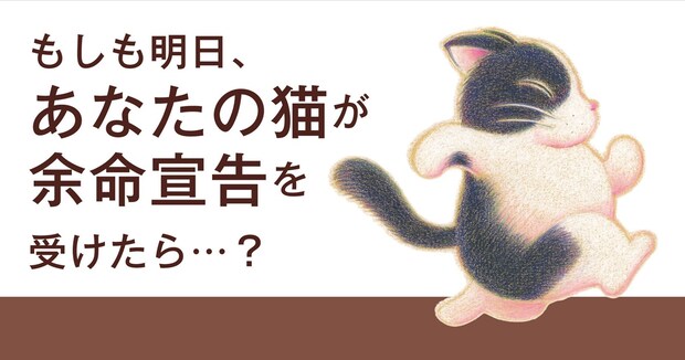 もしも明日、愛猫が余命宣告を受けたら…… リンパ腫と闘った猫との日々をつづる『愛猫が余命20日と宣告されました』