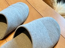 【画像】即帰宅した理由