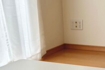 初めてのひとり暮らし“最高の相棒”に「私も〜！」と大反響　経験者からエール続々「明るくて素敵なお部屋」「大変なこともあるけど、楽しんで！」