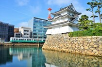 【画像：ランキング8位～1位を見る】