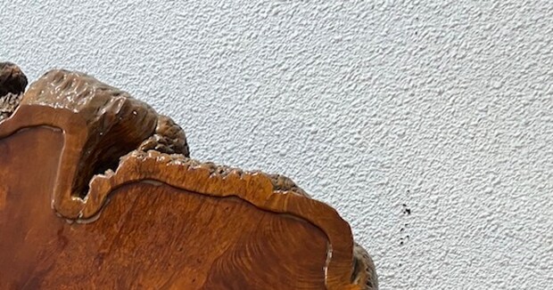 「現実味がない」　オフハウスで見かけた“660万円商品”にあ然　「一桁間違ってる？」　「どういうときに欲しくなるの……」