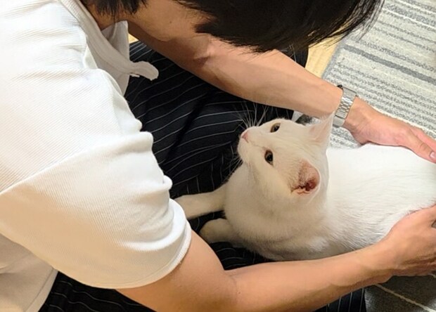 猫は大好きだったお兄ちゃんを覚えているのか? 3カ月ぶりの再会に「おおっ」「実に眼福」