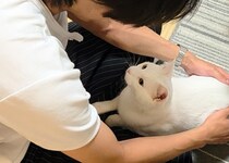 猫は大好きだったお兄ちゃんを覚えているのか？　3カ月ぶりの再会に「おおっ」「実に眼福」