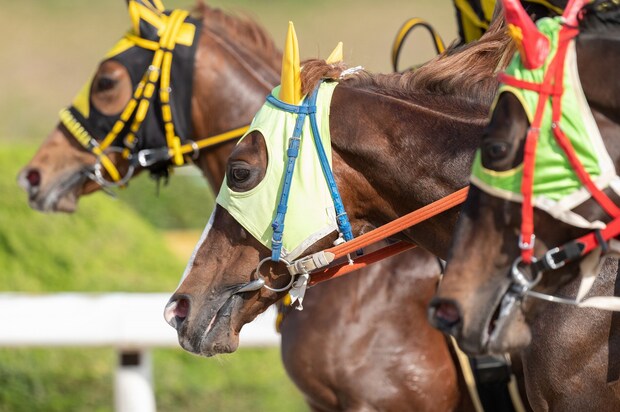 【ふるさと納税】「競馬ファン必見」JRAの“調教用ゼッケンを使ったバッグ”が人気　「めちゃくちゃ大満足」「馬好きな私にはもってこい」